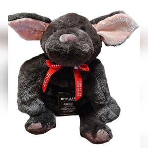 Two Blind Brothers Guide dog Braille